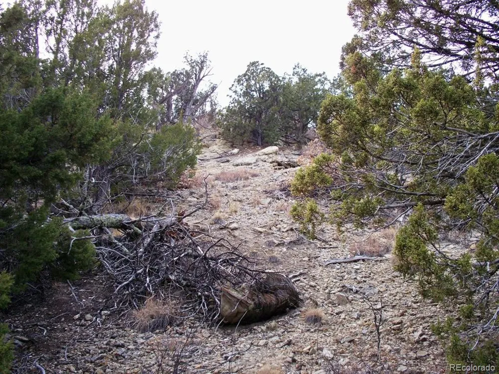 2 Red Creek Springs Road Pueblo, CO 81005