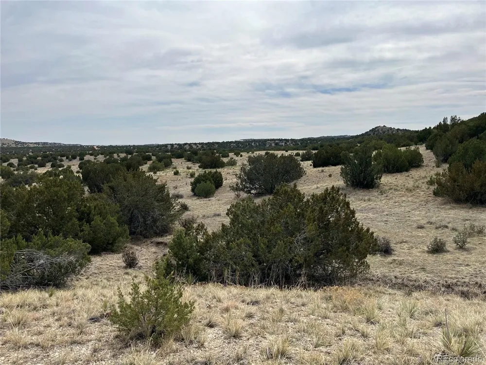 2 Red Creek Springs Road Pueblo, CO 81005