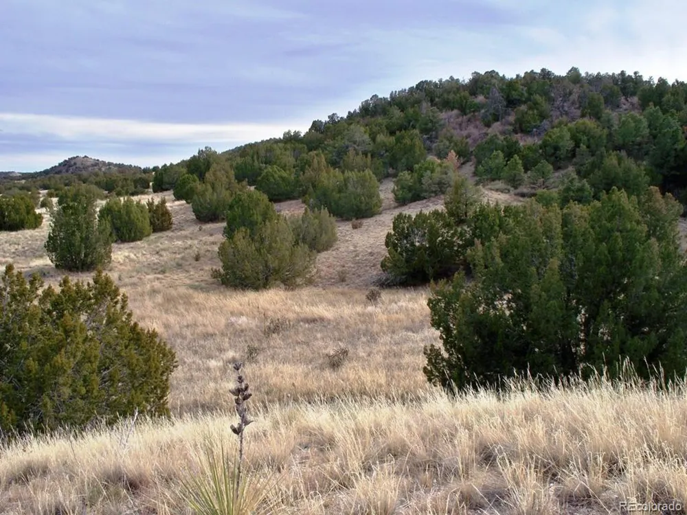 2 Red Creek Springs Road Pueblo, CO 81005