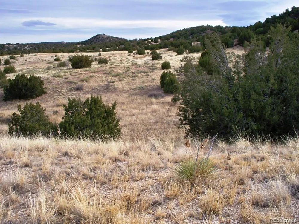 2 Red Creek Springs Road Pueblo, CO 81005