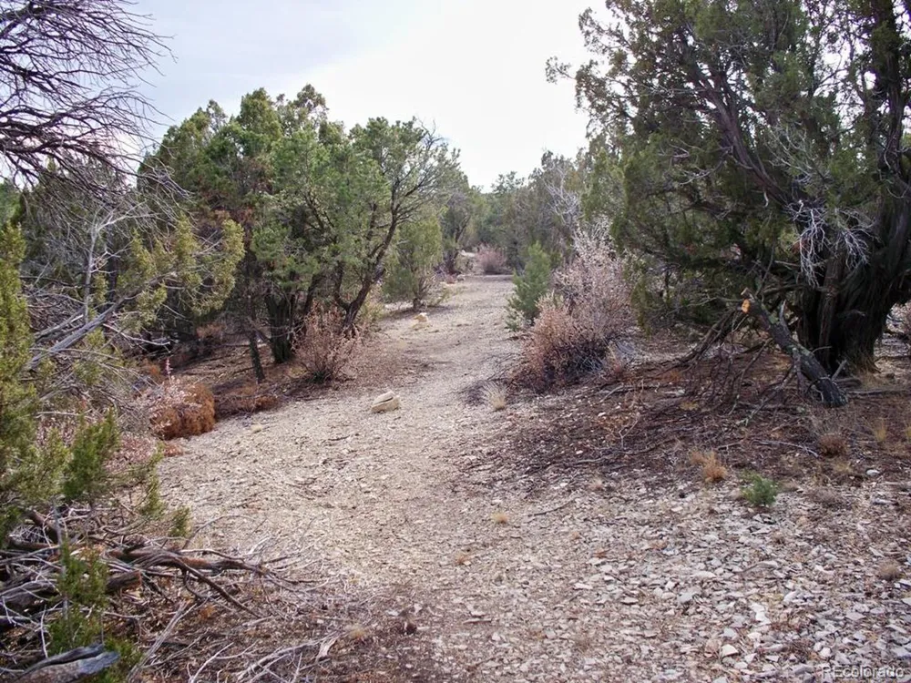 2 Red Creek Springs Road Pueblo, CO 81005