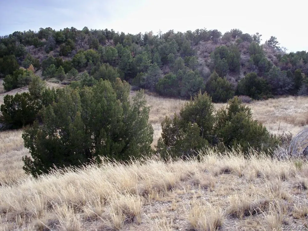 2 Red Creek Springs Road Pueblo, CO 81005
