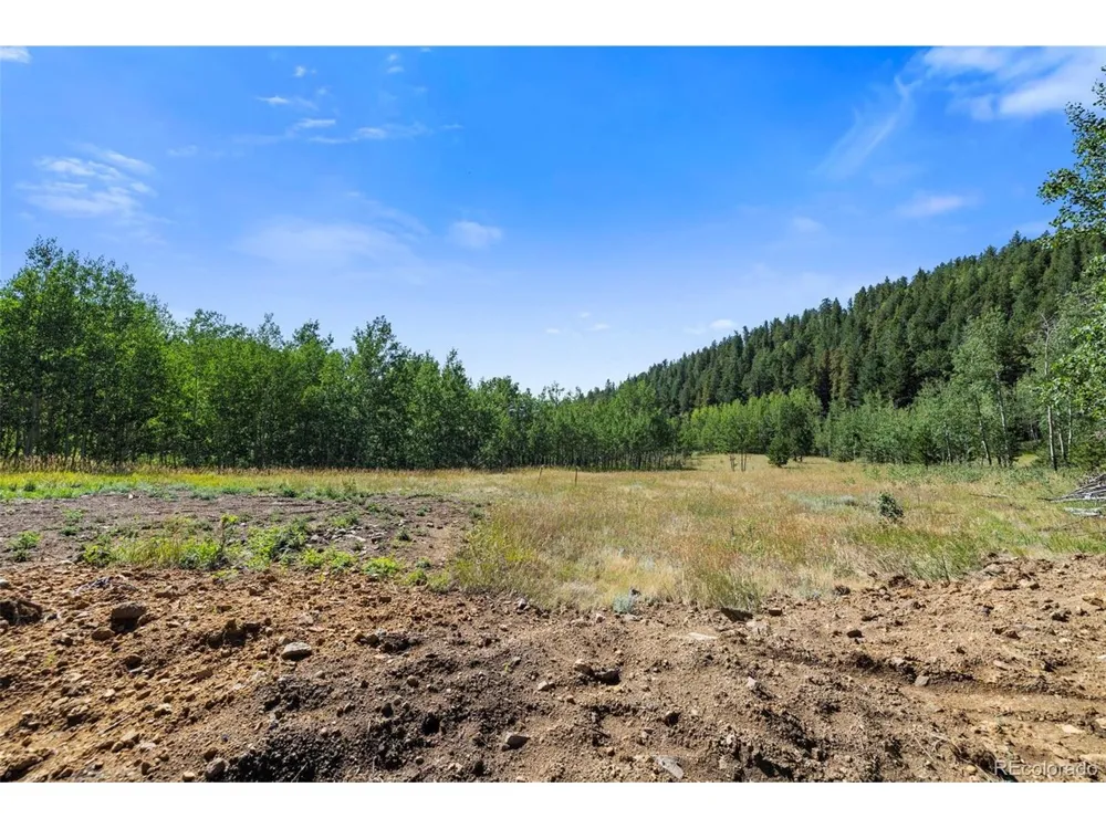 3 Red Tail Ranch Golden, CO 80403