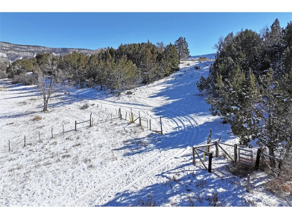 Address Not Shown Collbran, CO 81624