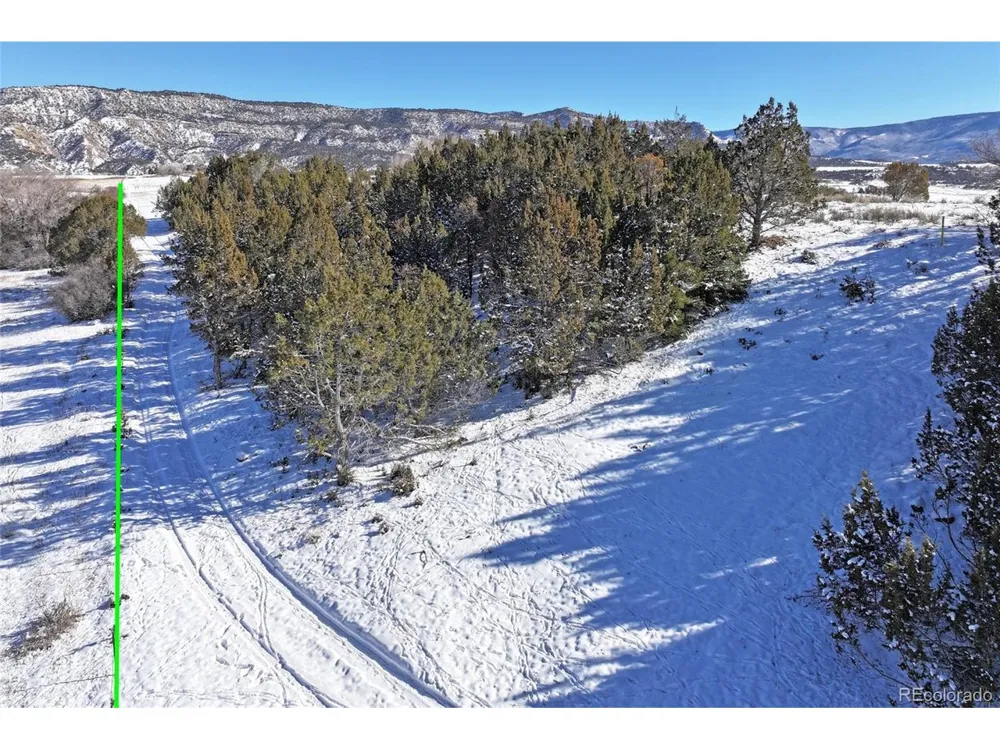Address Not Shown Collbran, CO 81624