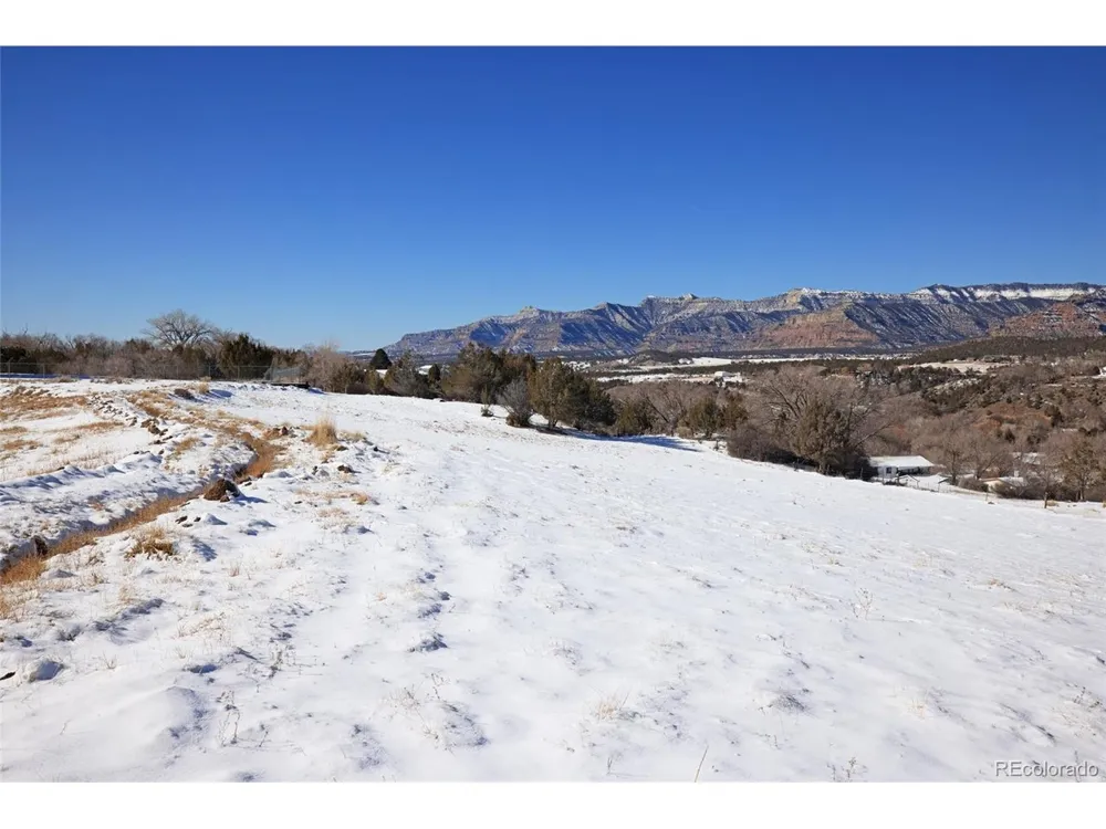Address Not Shown Collbran, CO 81624