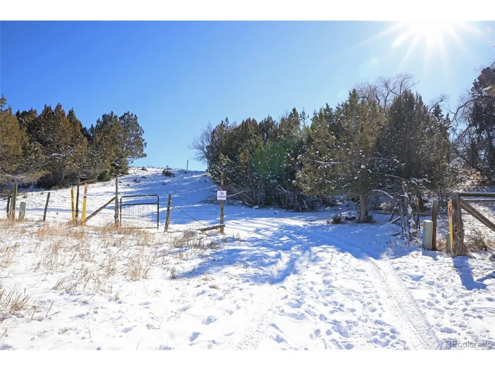 Address Not Shown Collbran, CO 81624