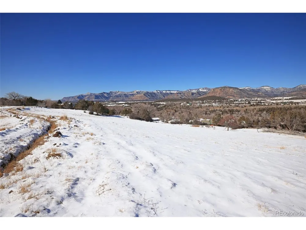 Address Not Shown Collbran, CO 81624
