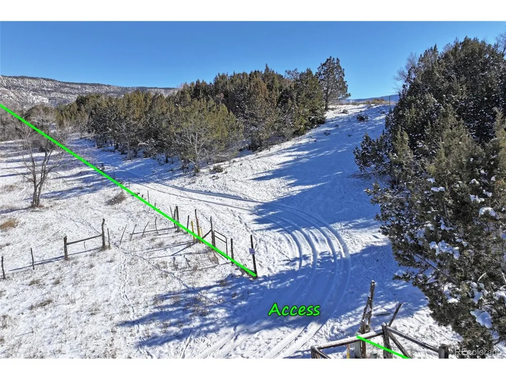 Address Not Shown Collbran, CO 81624
