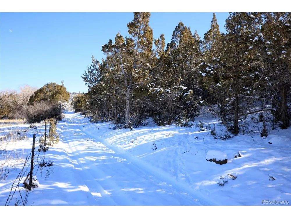 Address Not Shown Collbran, CO 81624