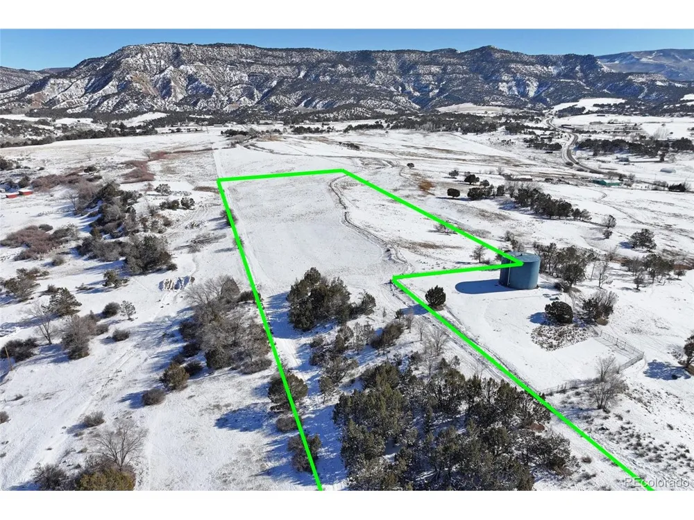 Address Not Shown Collbran, CO 81624