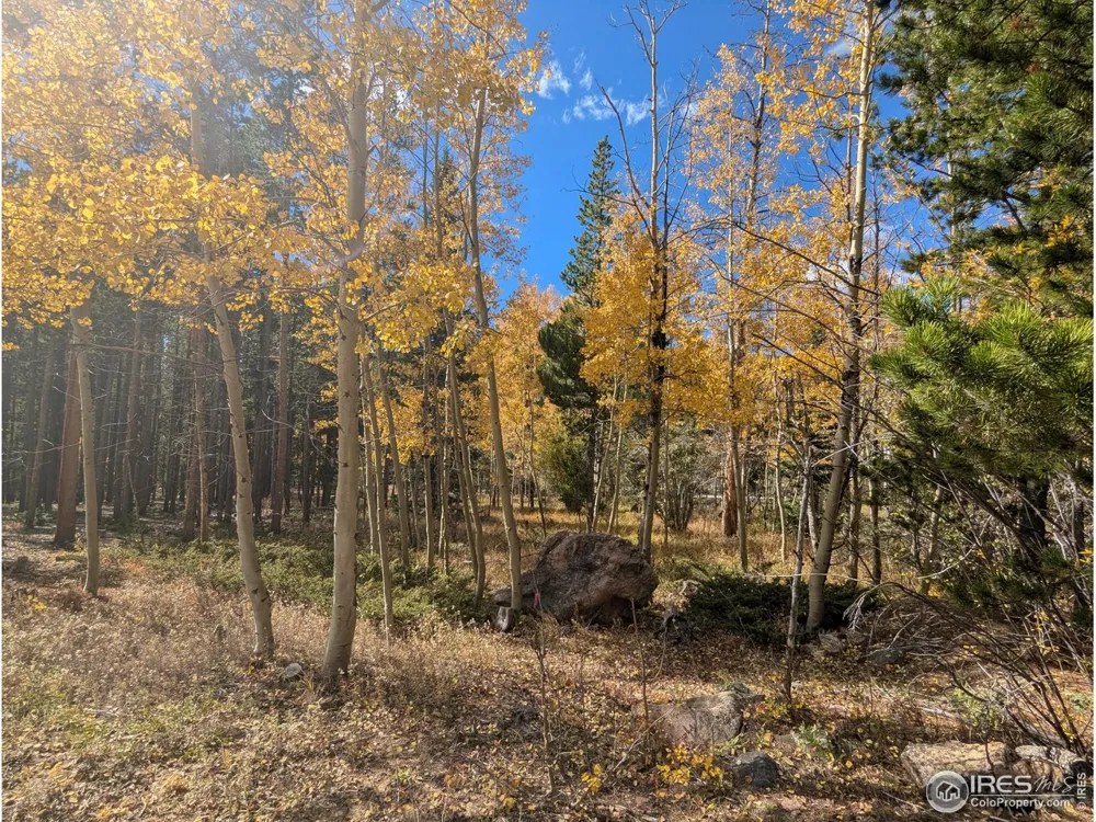 0 Bear Gulch Road Red Feather Lakes, CO 80545