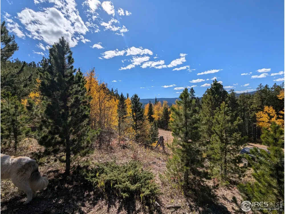 0 Bear Gulch Road Red Feather Lakes, CO 80545