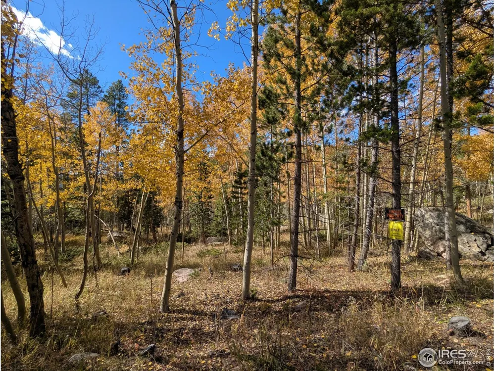 0 Bear Gulch Road Red Feather Lakes, CO 80545