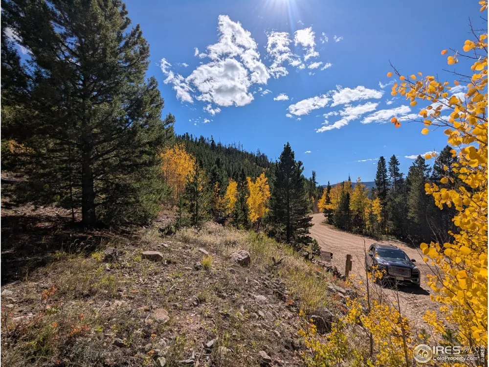 0 Bear Gulch Road Red Feather Lakes, CO 80545