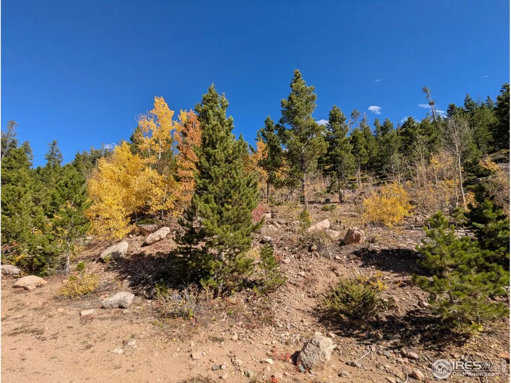 0 Bear Gulch Road Red Feather Lakes, CO 80545