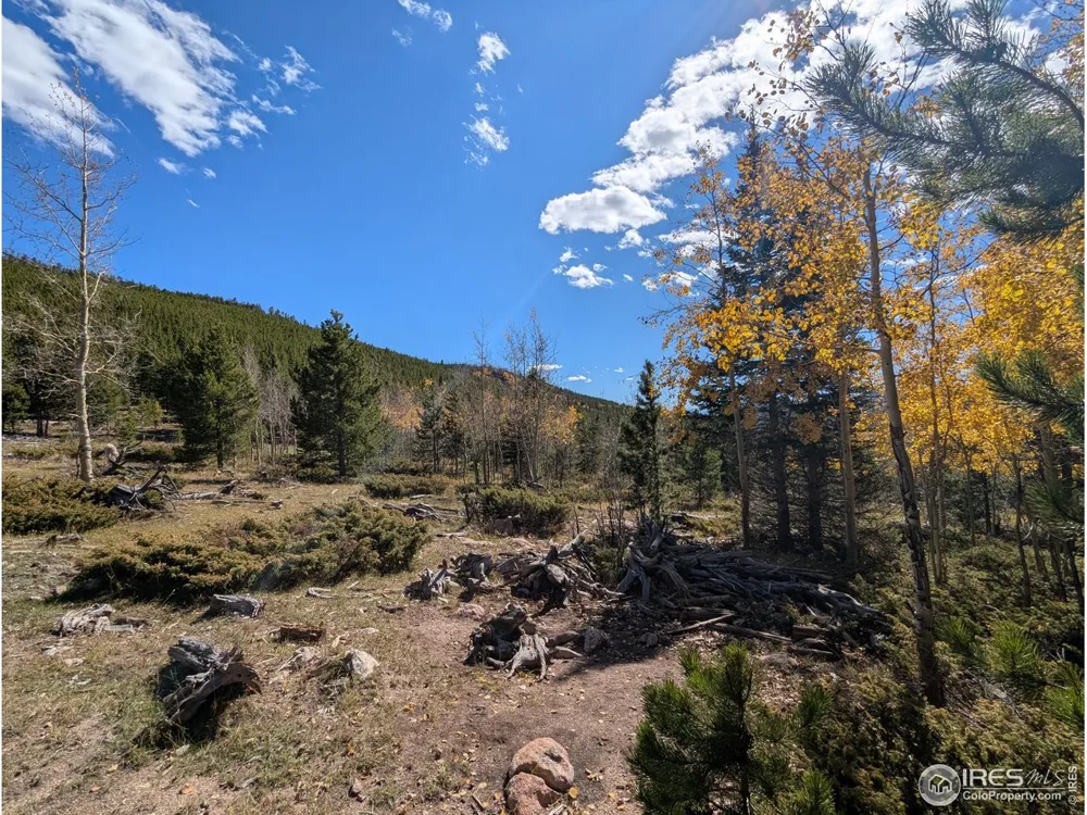 0 Bear Gulch Road Red Feather Lakes, CO 80545