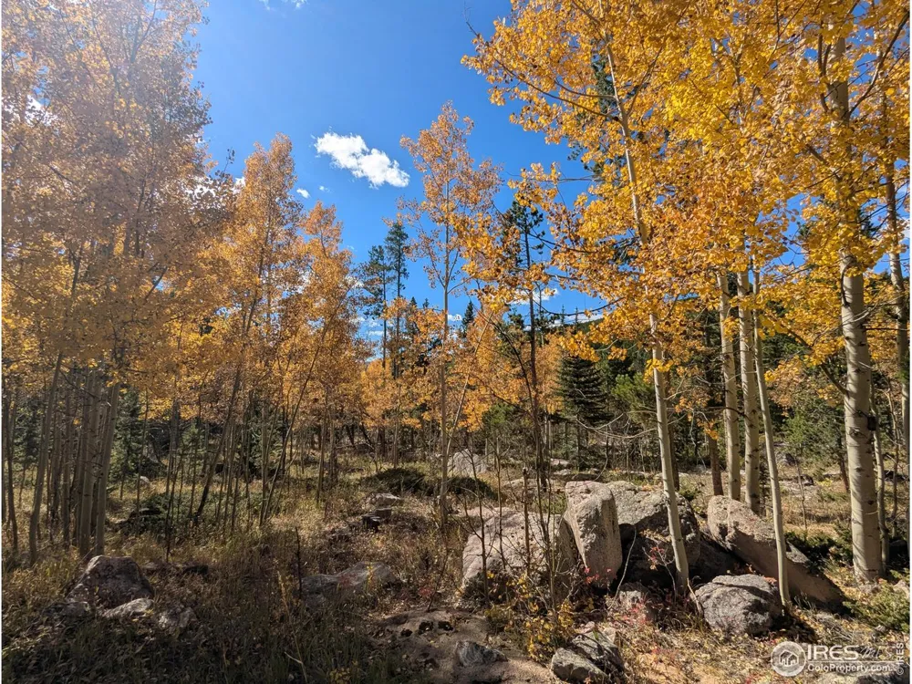 0 Bear Gulch Road Red Feather Lakes, CO 80545