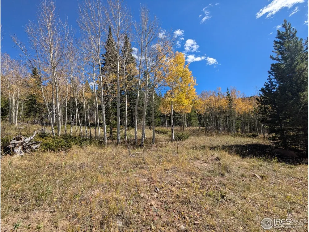 0 Bear Gulch Road Red Feather Lakes, CO 80545