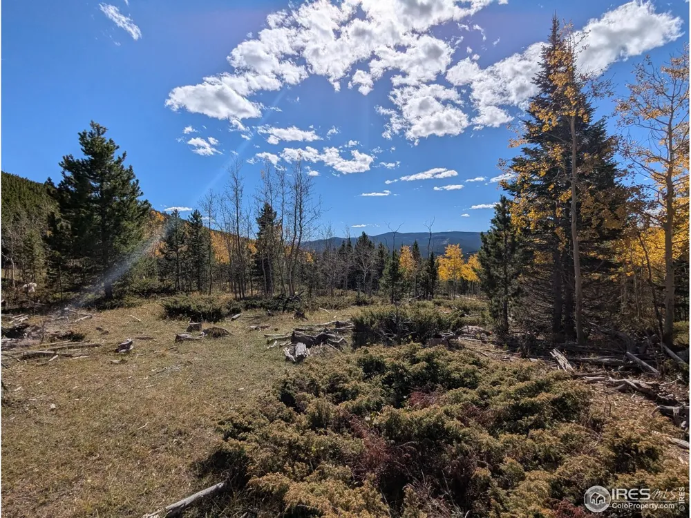0 Bear Gulch Road Red Feather Lakes, CO 80545