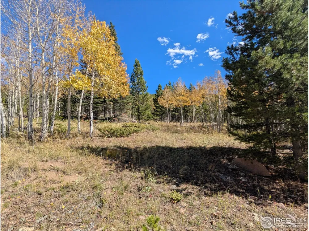 0 Bear Gulch Road Red Feather Lakes, CO 80545