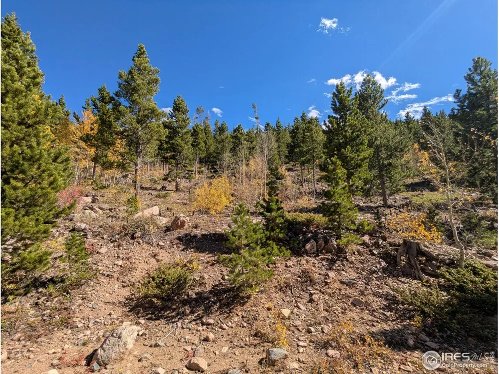 0 Bear Gulch Road Red Feather Lakes, CO 80545