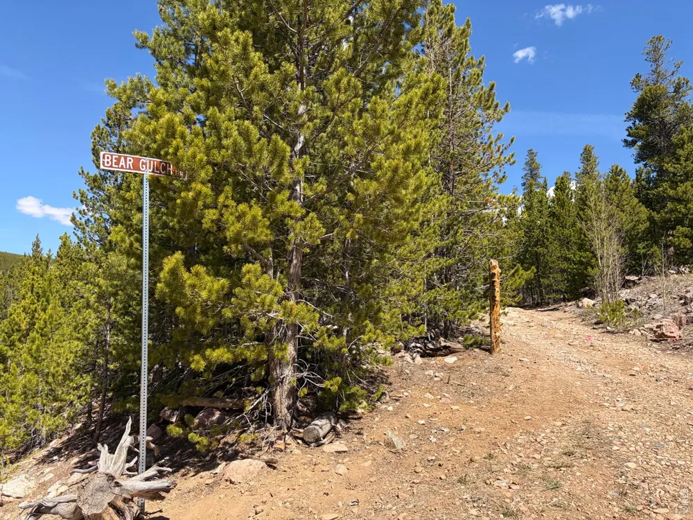 0 Bear Gulch Road Red Feather Lakes, CO 80545