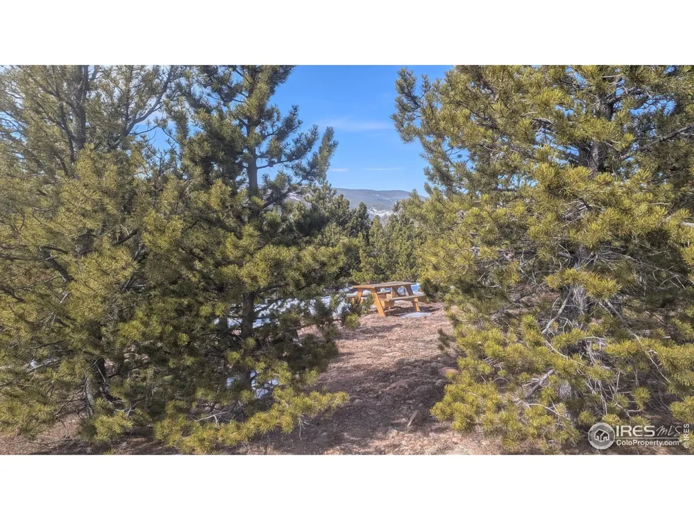 2182 Osage Trail Red Feather Lakes, CO 80545
