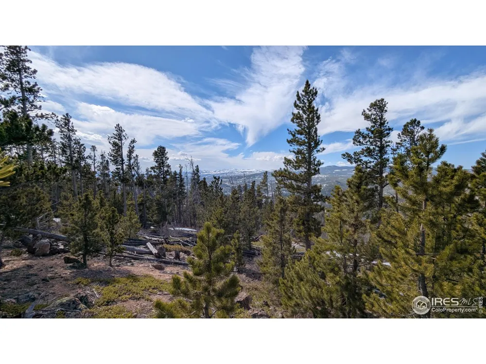 2182 Osage Trail Red Feather Lakes, CO 80545