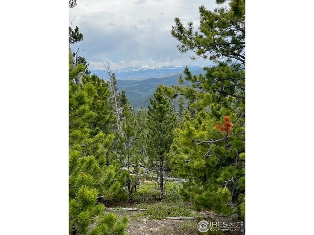 2182 Osage Trail Red Feather Lakes, CO 80545