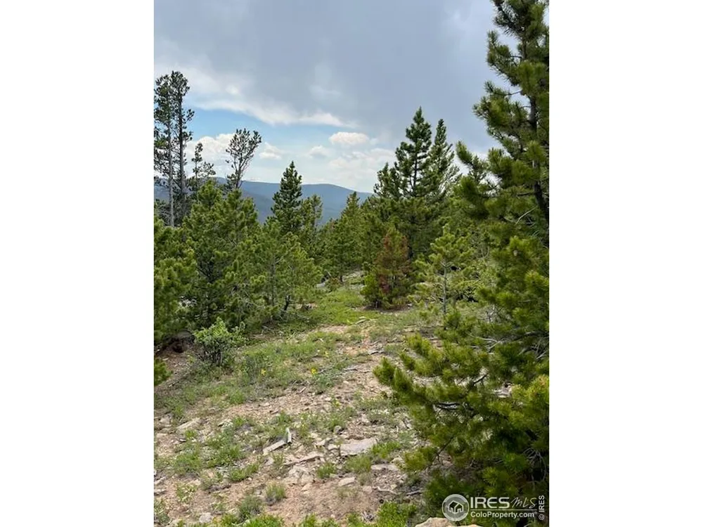 2182 Osage Trail Red Feather Lakes, CO 80545