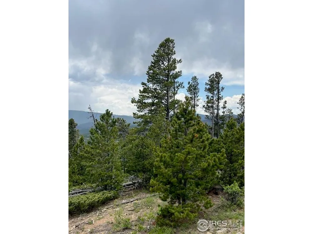 2182 Osage Trail Red Feather Lakes, CO 80545