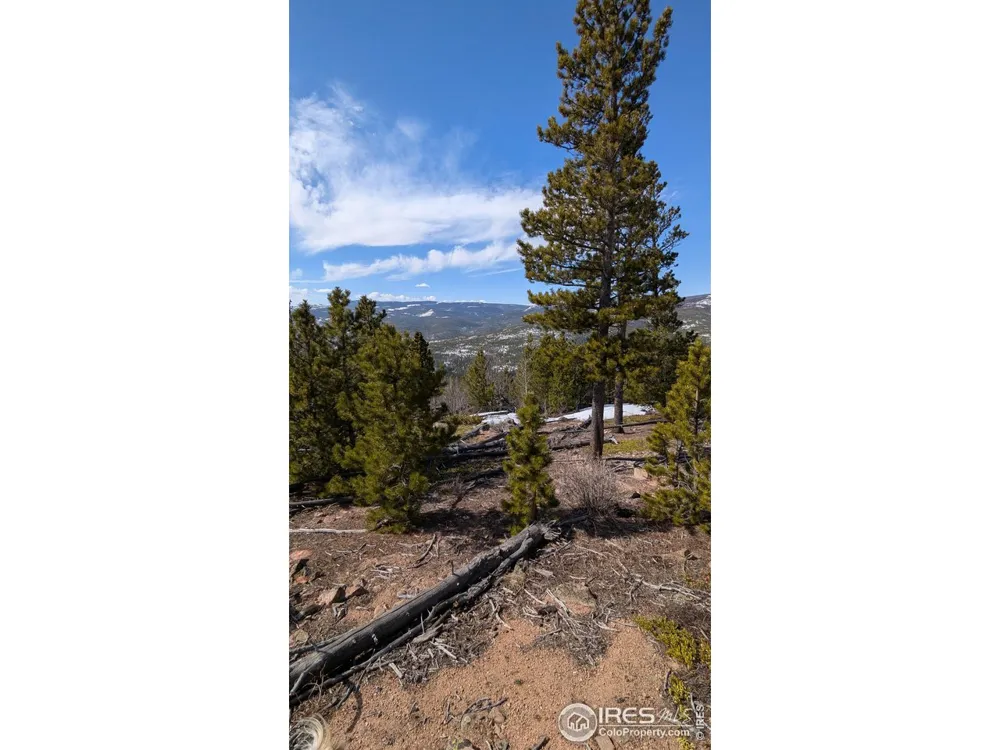 2182 Osage Trail Red Feather Lakes, CO 80545