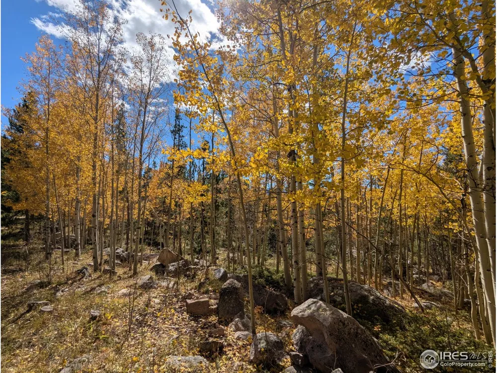 2182 Osage Trail Red Feather Lakes, CO 80545