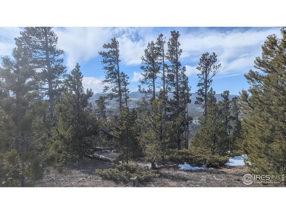 2182 Osage Trail Red Feather Lakes, CO 80545