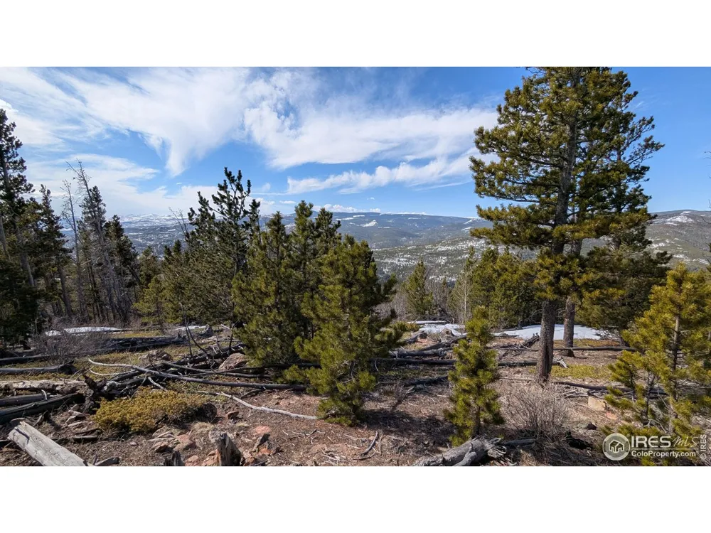 2182 Osage Trail Red Feather Lakes, CO 80545