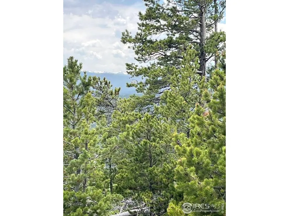 2182 Osage Trail Red Feather Lakes, CO 80545