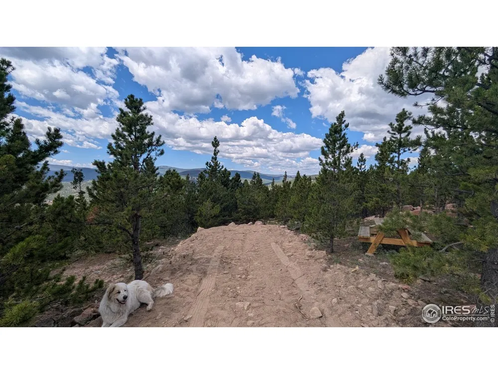 2182 Osage Trail Red Feather Lakes, CO 80545