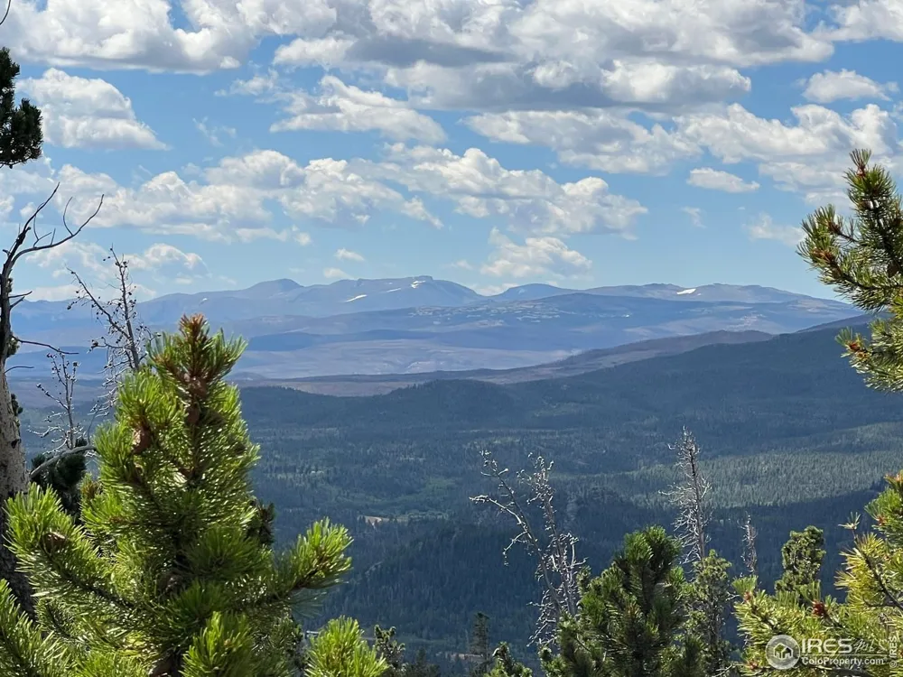 2182 Osage Trail Red Feather Lakes, CO 80545