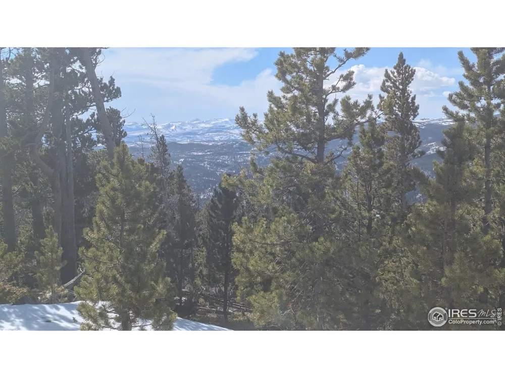 2182 Osage Trail Red Feather Lakes, CO 80545