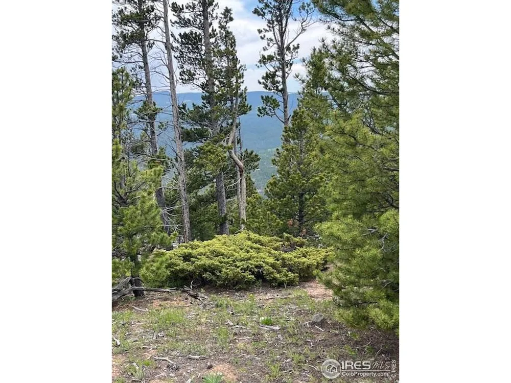 2182 Osage Trail Red Feather Lakes, CO 80545