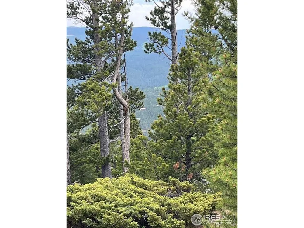 2182 Osage Trail Red Feather Lakes, CO 80545