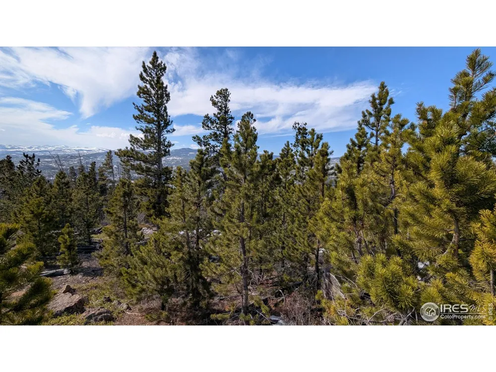 2182 Osage Trail Red Feather Lakes, CO 80545