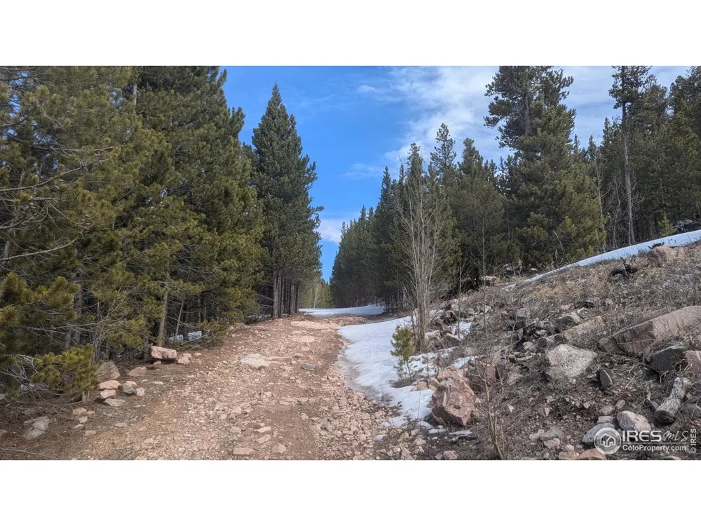 2182 Osage Trail Red Feather Lakes, CO 80545