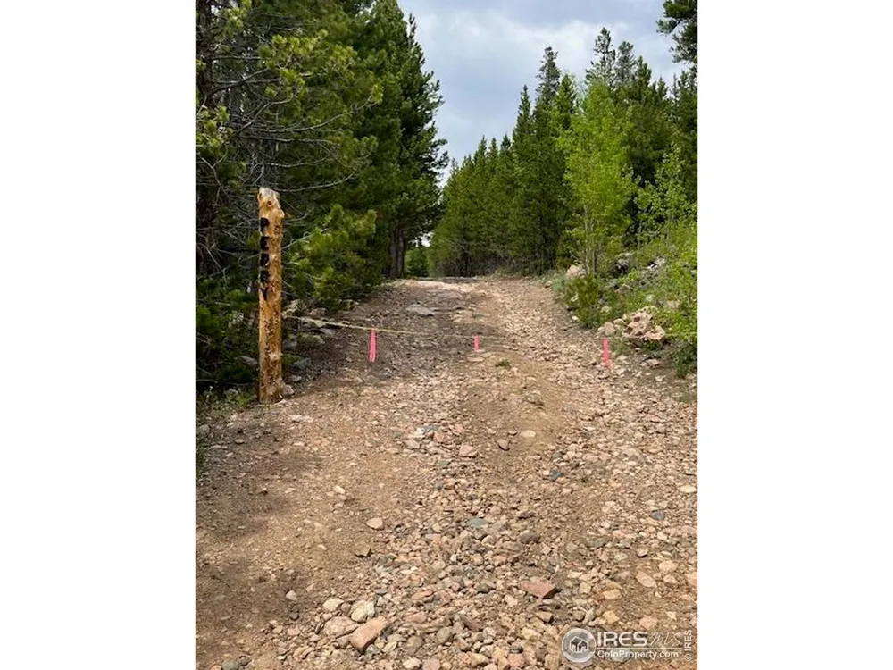 2182 Osage Trail Red Feather Lakes, CO 80545