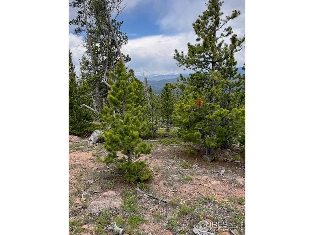 2182 Osage Trail Red Feather Lakes, CO 80545