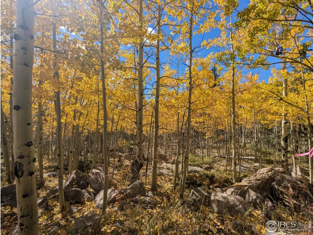 2182 Osage Trail Red Feather Lakes, CO 80545