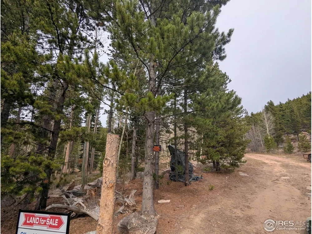 2174 Bear Gulch Road Red Feather Lakes, CO 80545