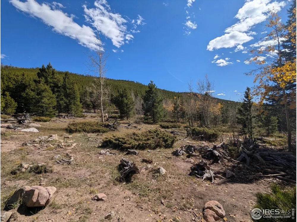 2174 Bear Gulch Road Red Feather Lakes, CO 80545