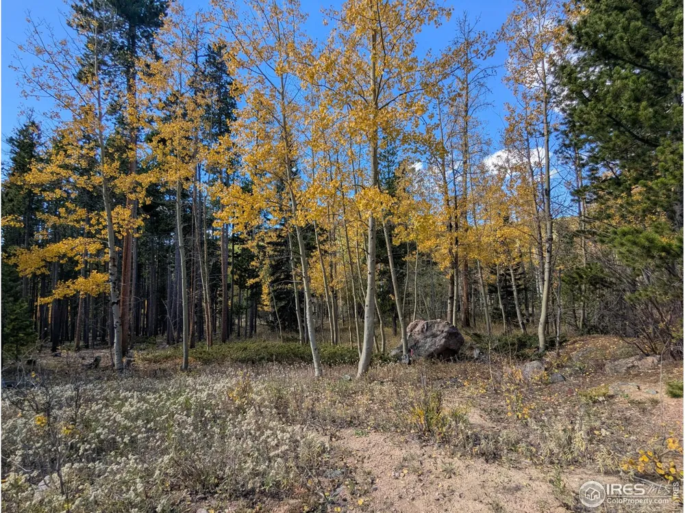 2174 Bear Gulch Road Red Feather Lakes, CO 80545